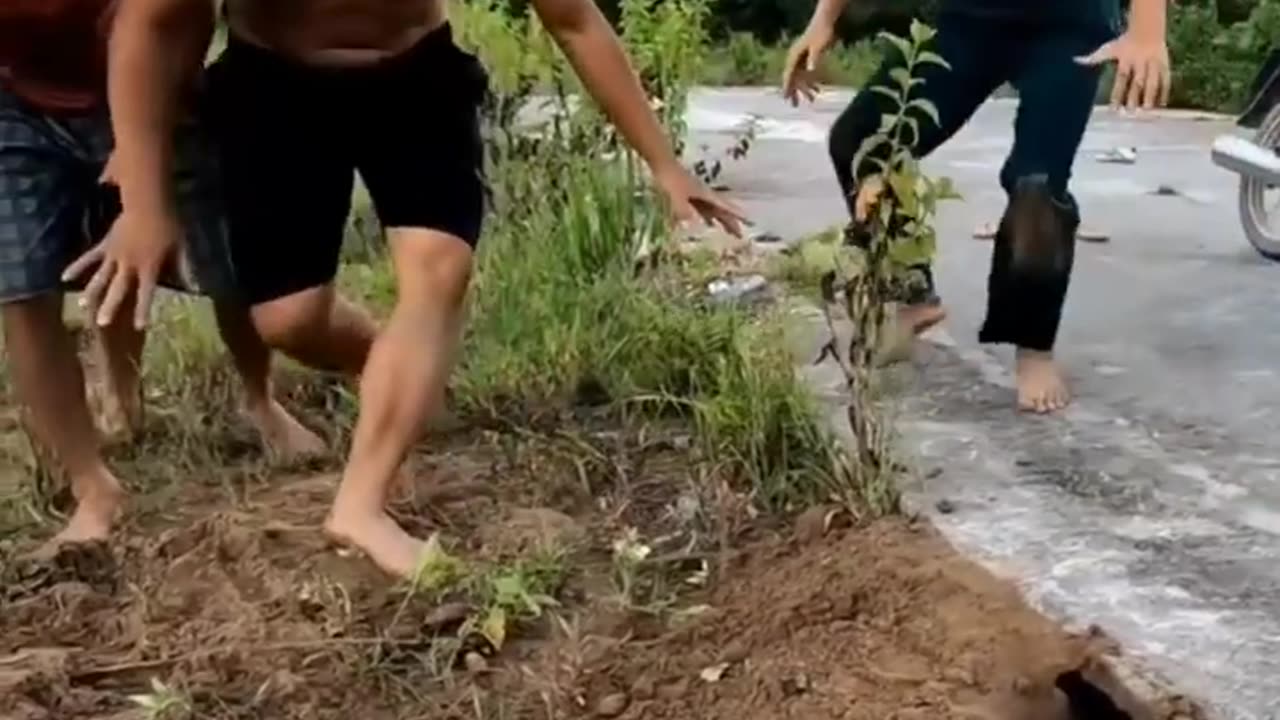 23s)funny.video