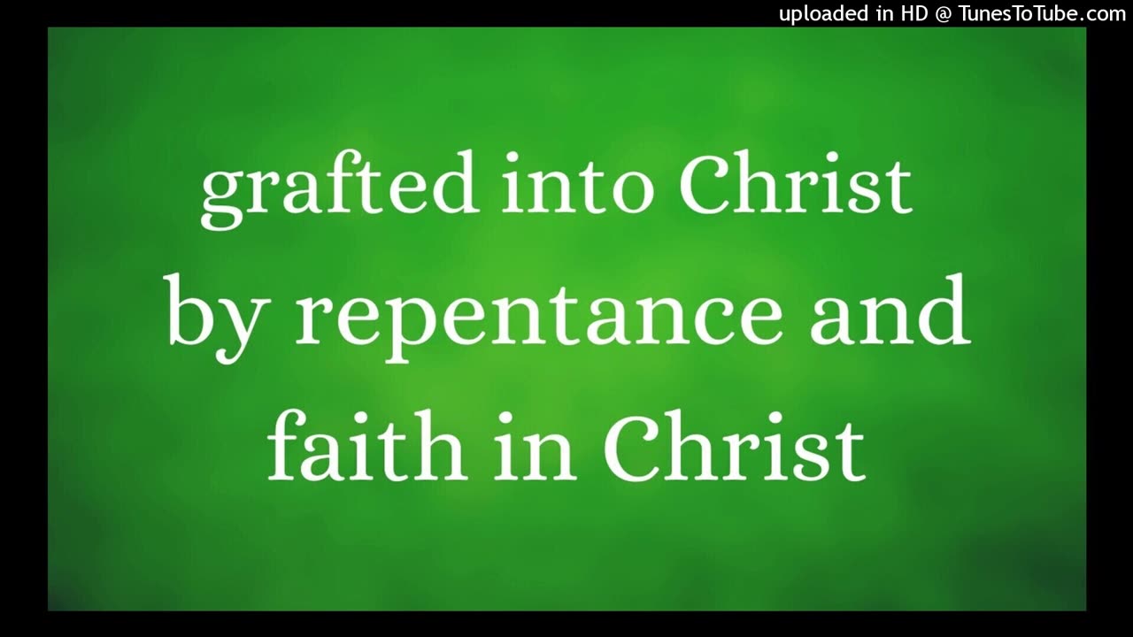 we're grafted into Christ by repentance and faith in Christ