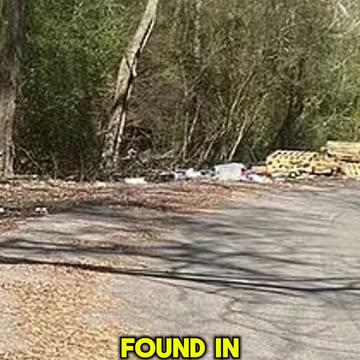 A Birmingham mother held against her will and tortured fo...