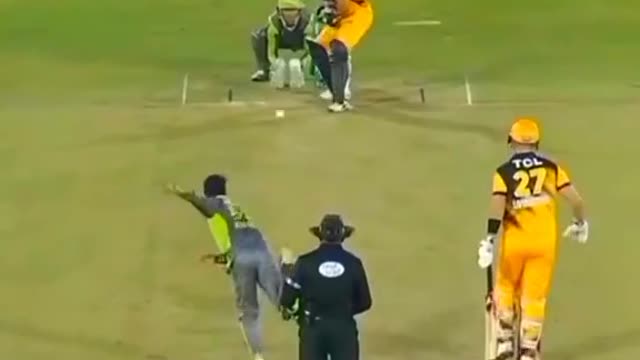 cricket fans-video cricket lovers-video #cricket #cricketlover