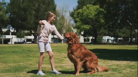 Hilarious doggy sits in a very distinguished