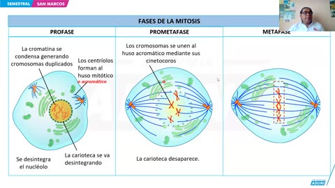 SEMESTRAL ADUNI 2024 | Semana 07 | Biología | Filosofía | RV S2