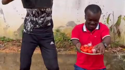 Chicken plan