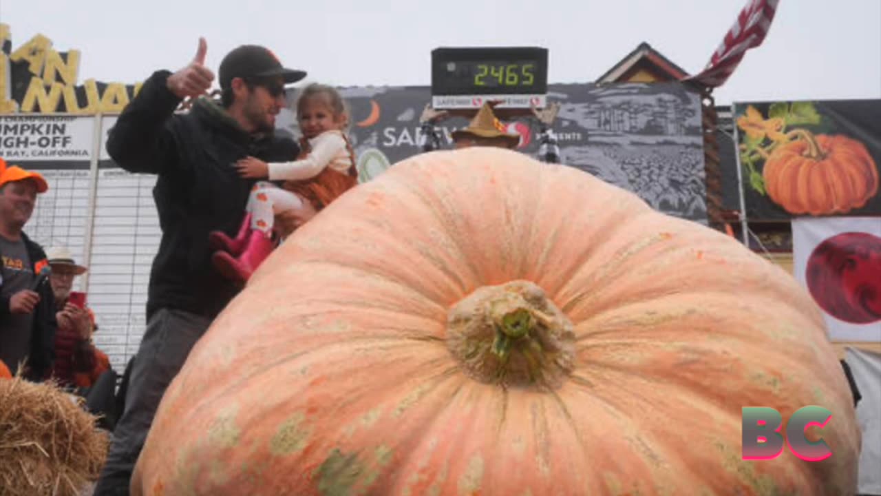 Pumpkin weighing 2,471 pounds wins California contest