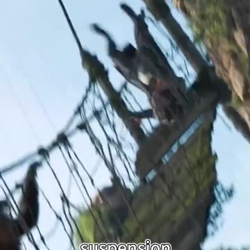 Humans Being Chased By a Group of Gorillas.#shorts