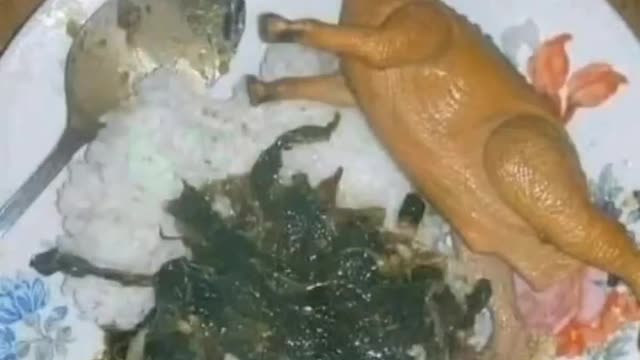 Funny Fried dinosaur