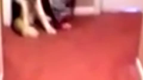 Baby scared of vaccum and run to dog for protection