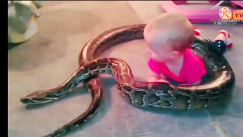 British baby playing with snak