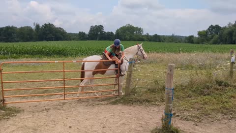 Working two different gates - Josie on Romeo - 29 July 2024