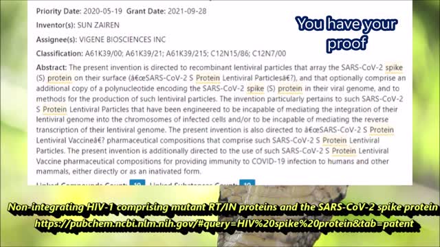 🐍🐍🐍🐍Lentivirus =HIV ? 🐍🐍🐍🐍