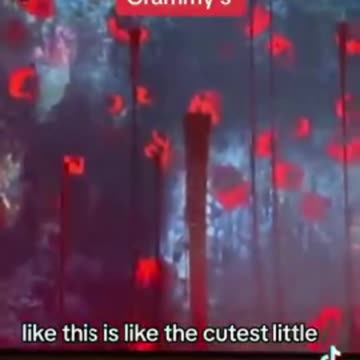 Olivia Rodrigo Performs Satanic Blood Ritual at the Grammys_Full-HD_60fps