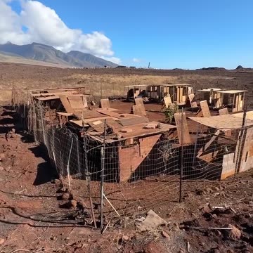 Another Maui Fire Mystery