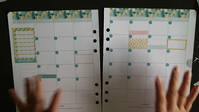 Plan with me - monthly layout and weekly