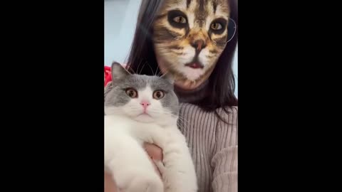 Cats Scared Of Cat Mask Filter - Cat Reaction To Mask Filter #1