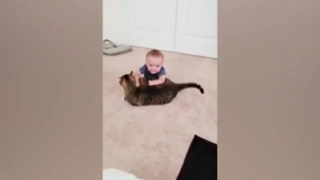 Kids And Cats Funny Babies 001