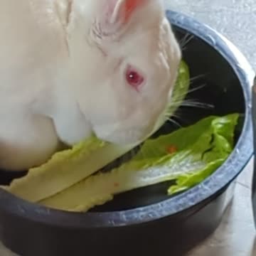 Beautiful Marzanna ❣️