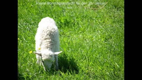 Kleine Sonntagsandacht für den 23. Januar