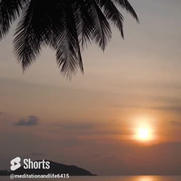 Morning Meditation with nature #shorts #meditation #relaxing #nature #piano #soothing