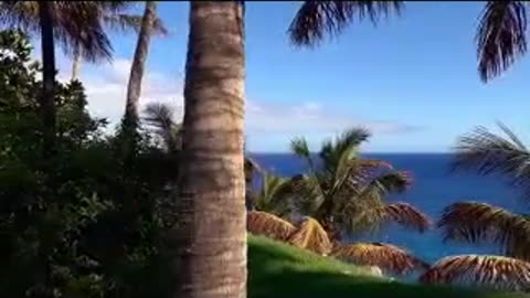 CUP!D$ ep 194 214.mp4