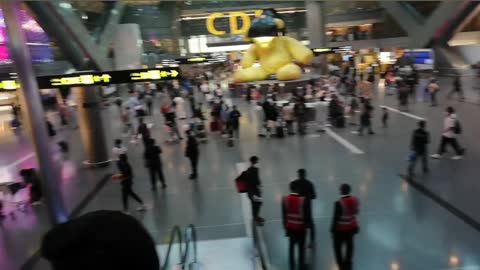 Qatar Doha Airport waiting hall 2021