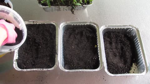 Preventing Erosion