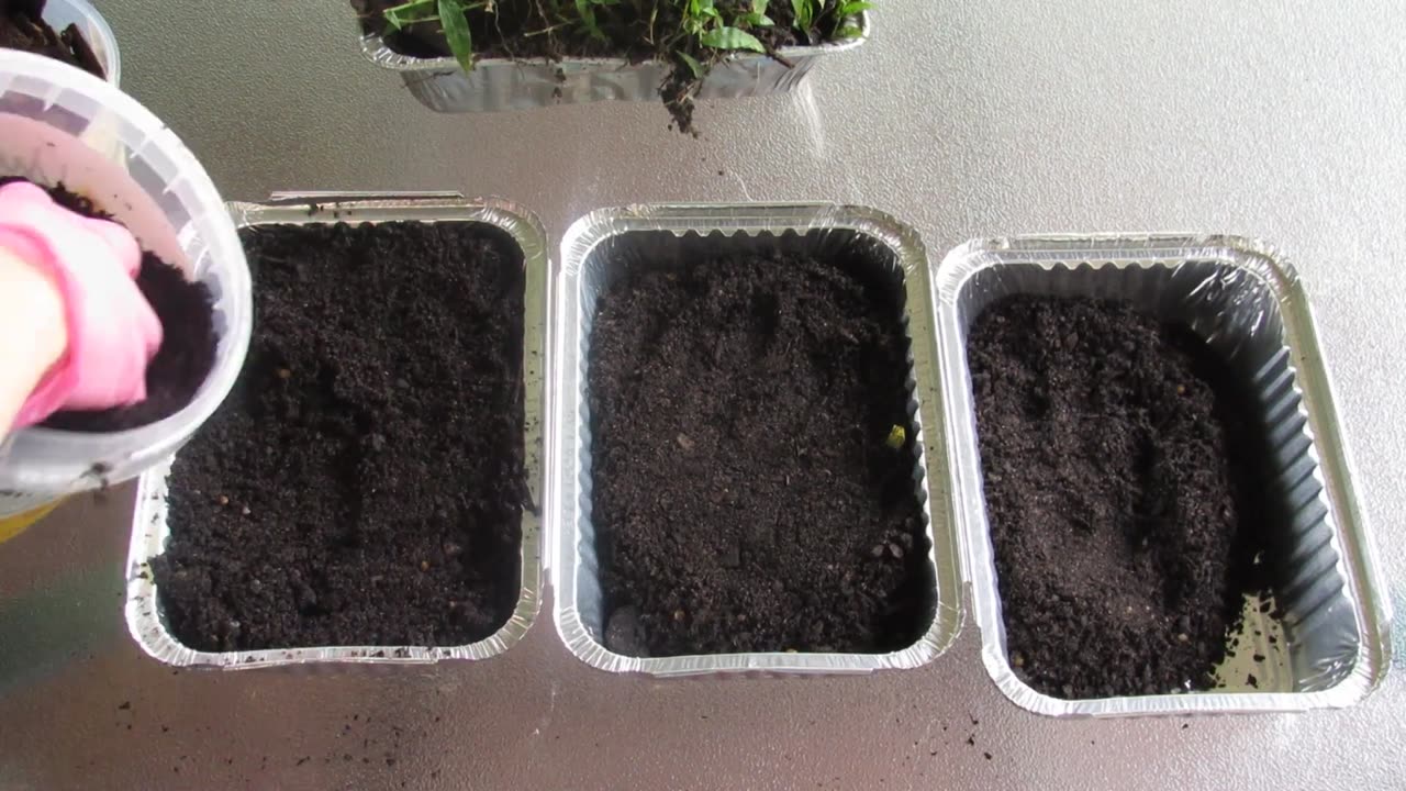 Preventing Erosion