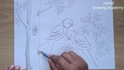 How to draw parrot couple on tree step by step very easyp6