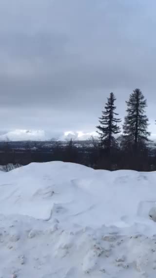 Stopped along the Parks Highway