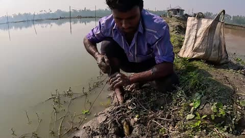 Amazing Eel Fishing
