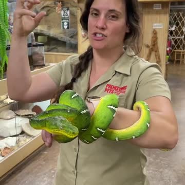 Friendship with snake