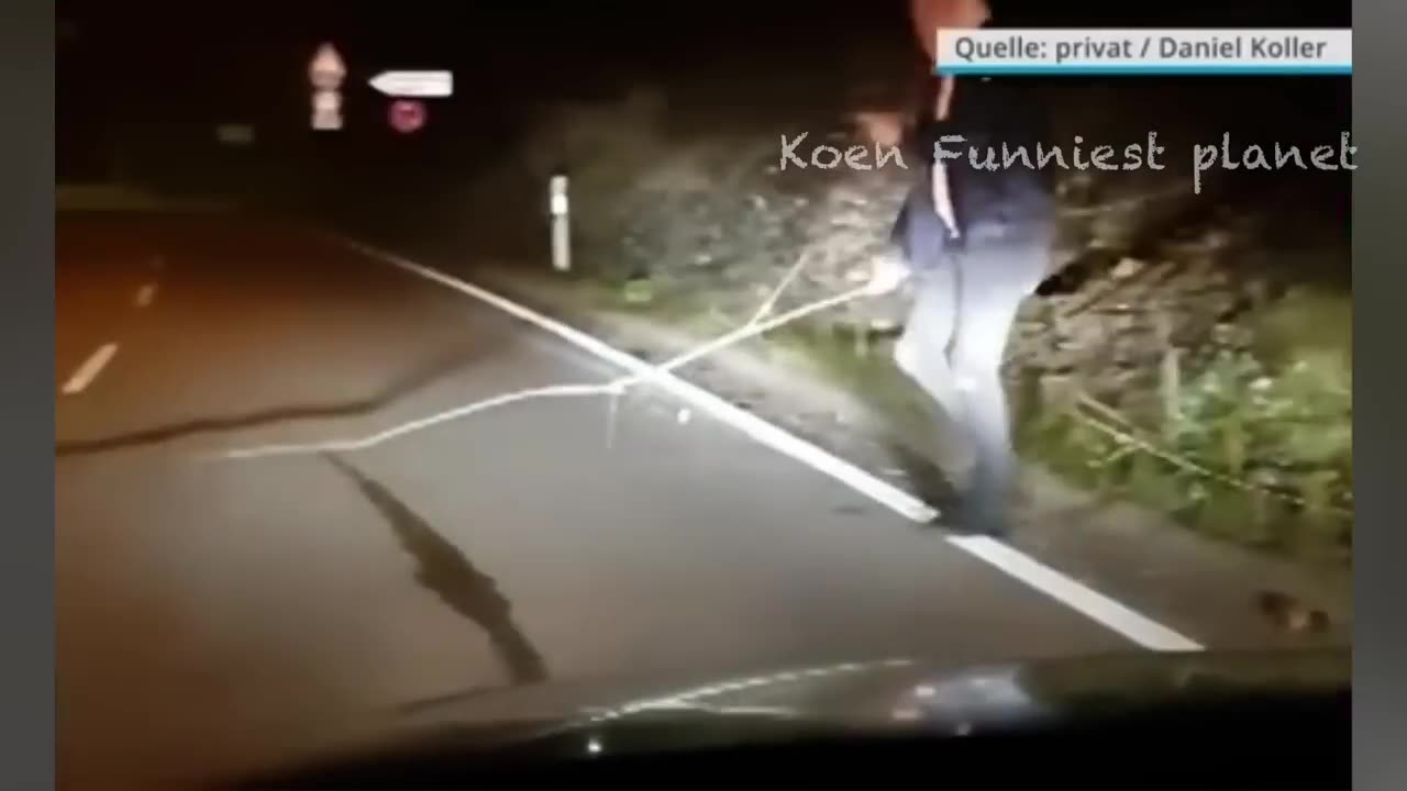 Funny Dogs And Cats Videos 2023 😅 - Best Funniest Animal Videos Of The Month 🥰👌 #1