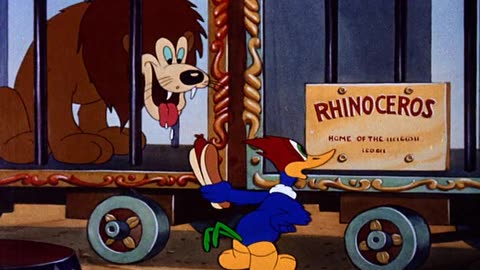 Walter Lantz's Woody Woodpecker Cartoons 8