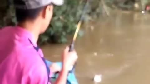 This is a beautiful and charming water-dwelling species