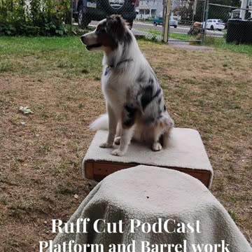 Platform and Barrel work introduction to the upside down barrel