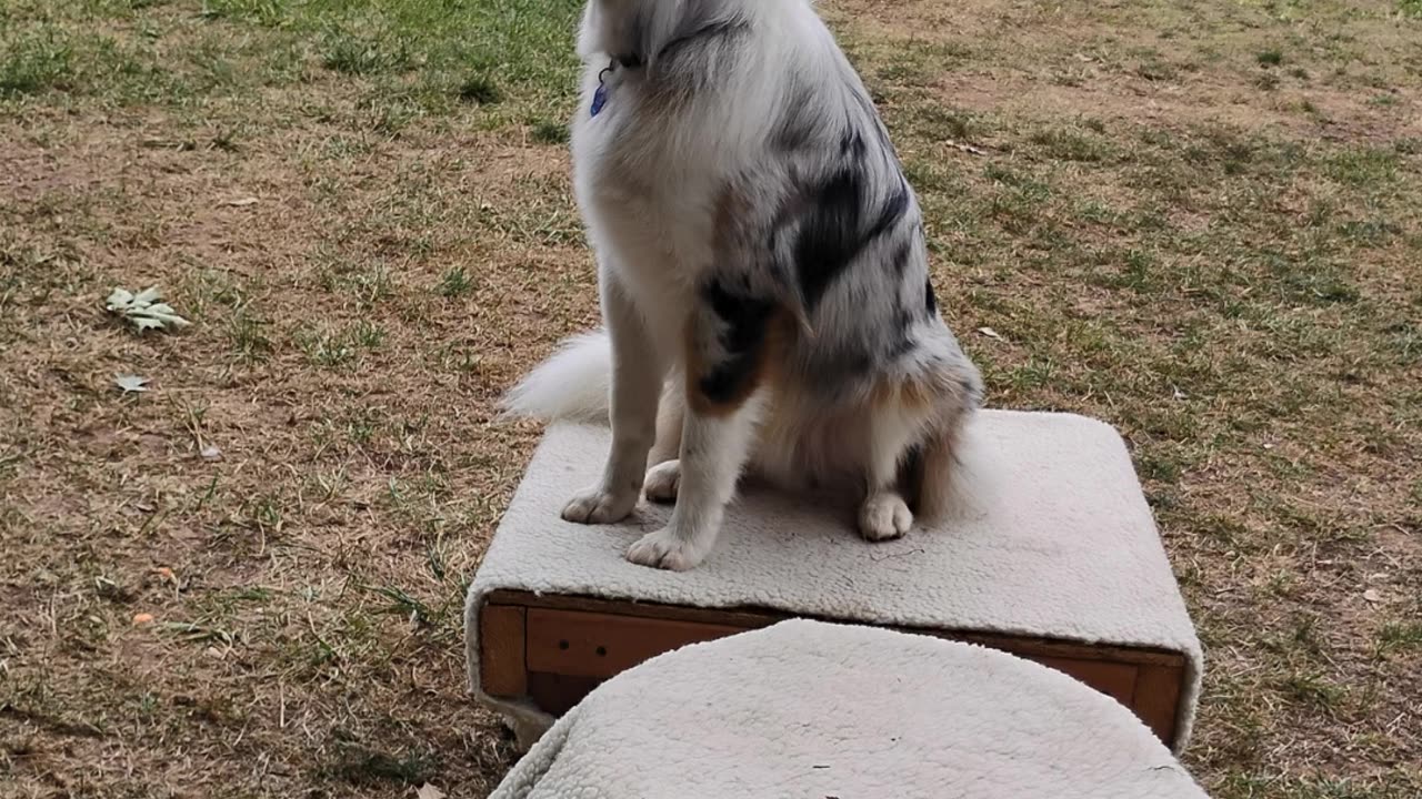 Platform and Barrel work introduction to the upside down barrel