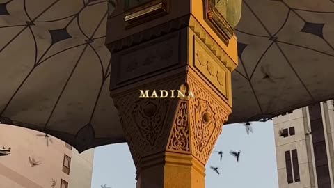 Madinah🫀