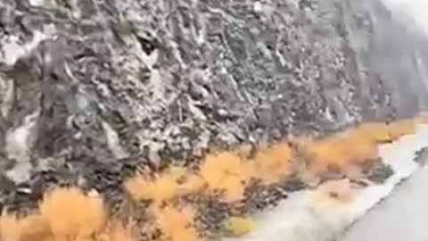 FLOODING IN U A E CAUSE OF HEAVY RAIN.