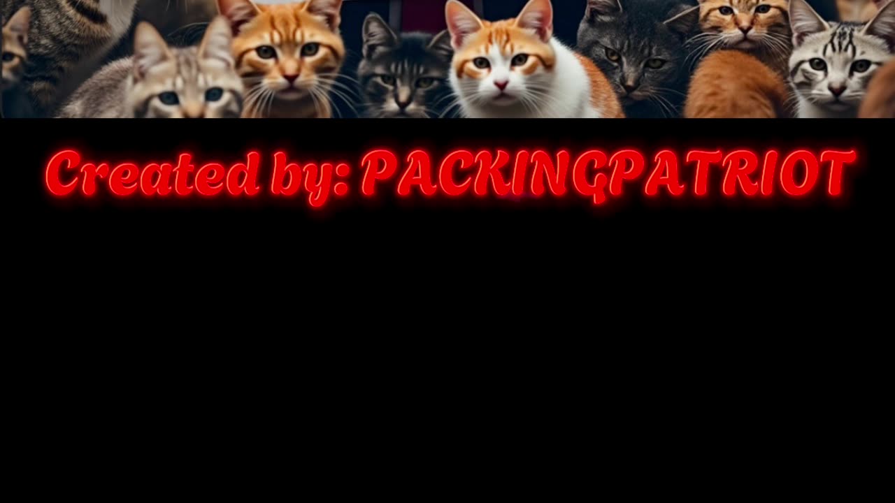 PARODY SONG | Make Cats Pets Again