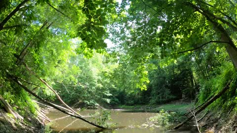 Pond Timelapse Part 4