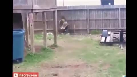 Compiled about super funny pranks and scares #5
