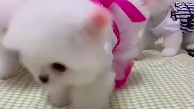Lovely baby