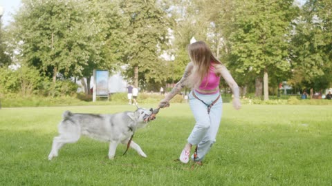 Smart Dog Training Academy