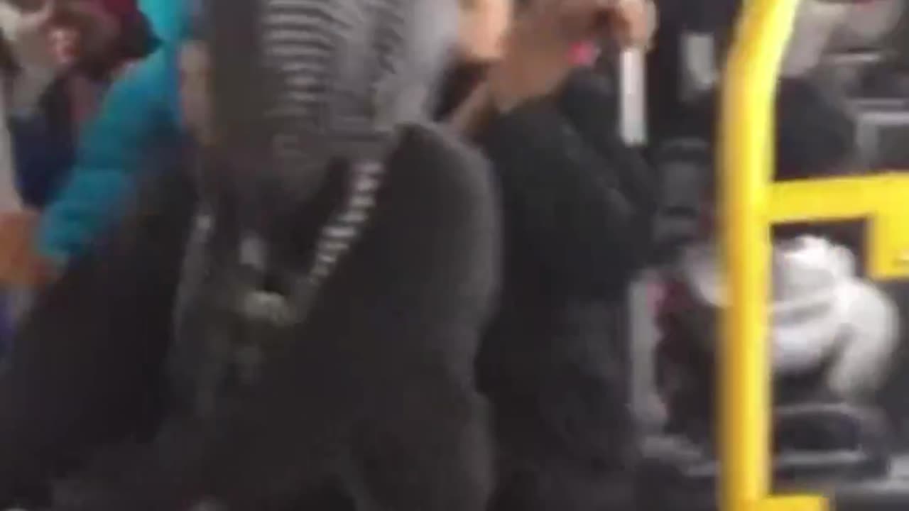 Taking the bus in London has become very dangerous. We all know why.