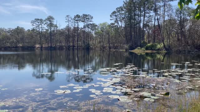 Hiking Blue Pond at Dunn's Creek in Putnam County, FL