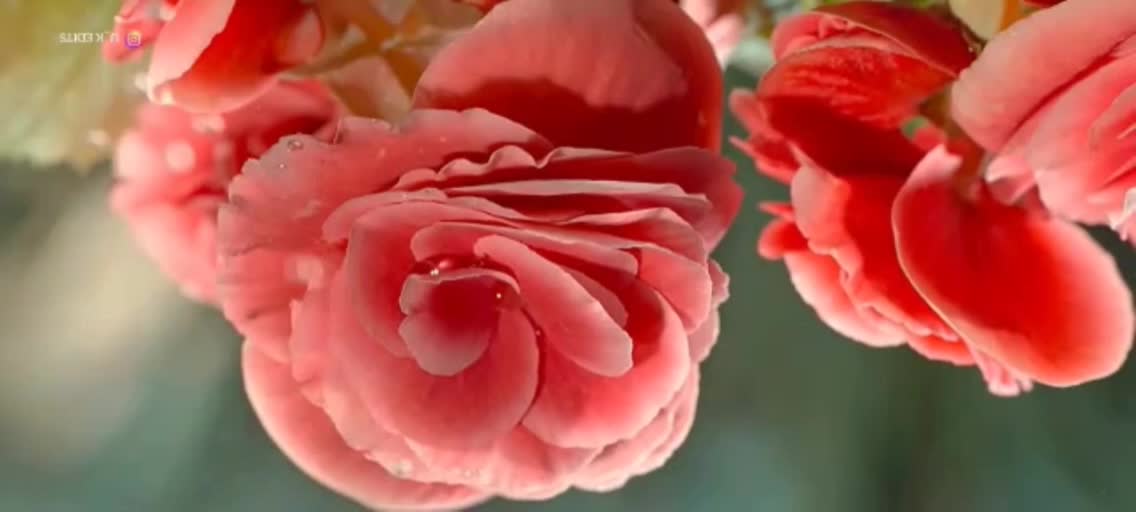 Beautiful nature||