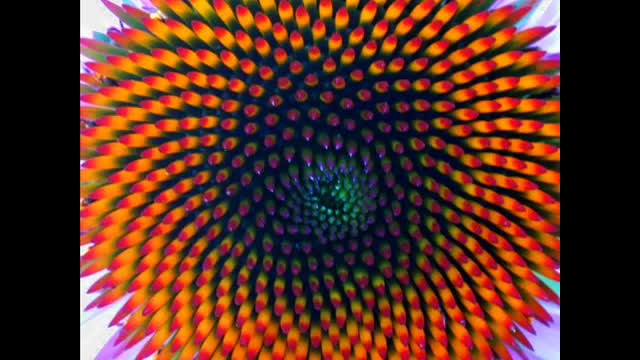 Tour Through Reality