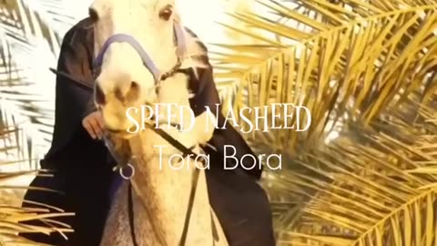 Tora Bora Nasheed #fyp #arabic #turkic #fypシ #kurdish #fypシ゚viral #speednasheed #kesfett #keşfetbeniöneçıkar #speedsongs #nasheed #islam #muslim