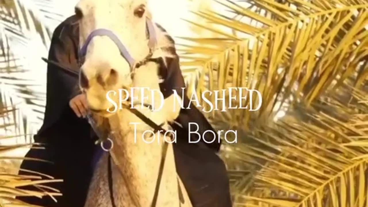 Tora Bora Nasheed #fyp #arabic #turkic #fypシ #kurdish #fypシ゚viral #speednasheed #kesfett #keşfetbeniöneçıkar #speedsongs #nasheed #islam #muslim