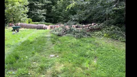Jason Tree Service - (603) 602-0214