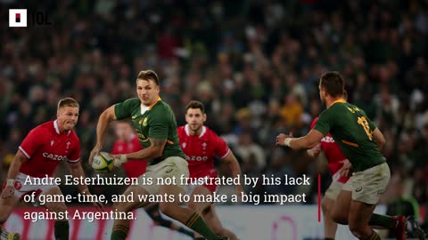 I’m desperate to impress, says Springbok centre Andre Esterhuizen